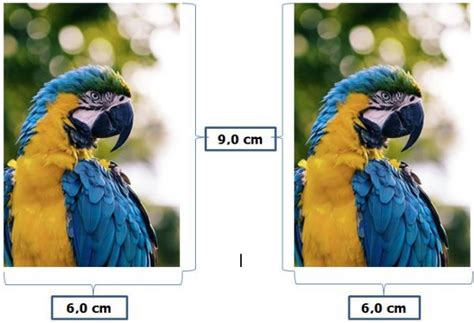 Ukuran standar foto merupakan ukuran yang mengikuti standar internasional yang dimasukan dalam katagori ukuran kertas seri r mulai dari ukuran standar foto 2r, 3r, 4r, 5r, 6r, 8r, 10r, sampai 20r, 30r maupun ukuran standar pas foto 4×6, 3×4, 2×3. Ukuran Foto 2R dalam mm, cm dan inci Lengkap +Gambar