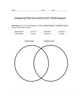 Animal and plant cell venn diagram cell organelles the animal cell animal cell vs. Pin on Science / SS Units