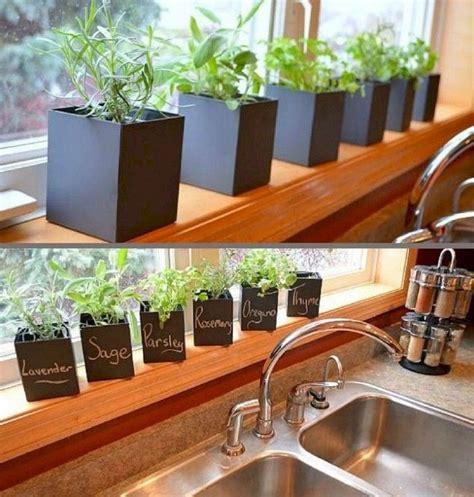 43 Creative Indoor Herb Garden Ideas For Your Small Home And Apartment
