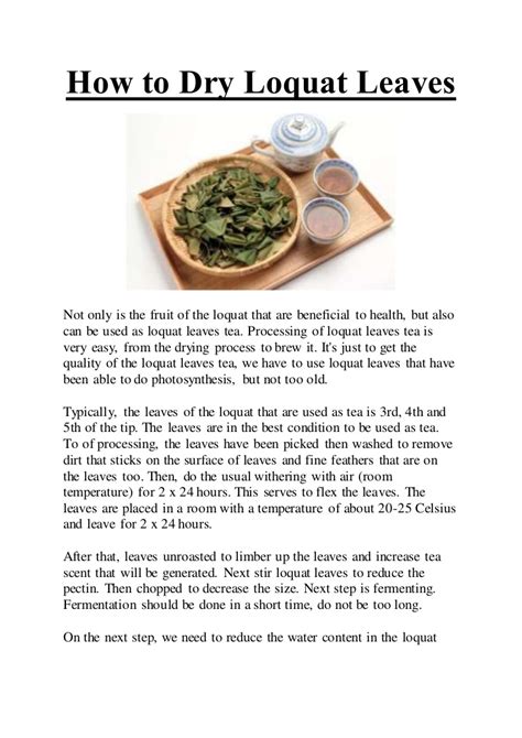 This beautiful evergreen produces an abundance of edible fruits and is cold hardy as well as. How to Dry Loquat Leaves
