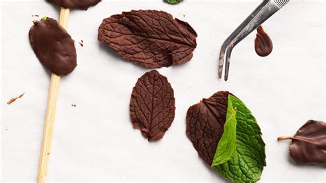 Chocolate Mint Leaves Recipe Martha Stewart