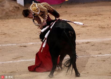 西班牙斗牛赛惊险连连 斗牛士遭牛角顶飞被抬下场 1 中国日报网