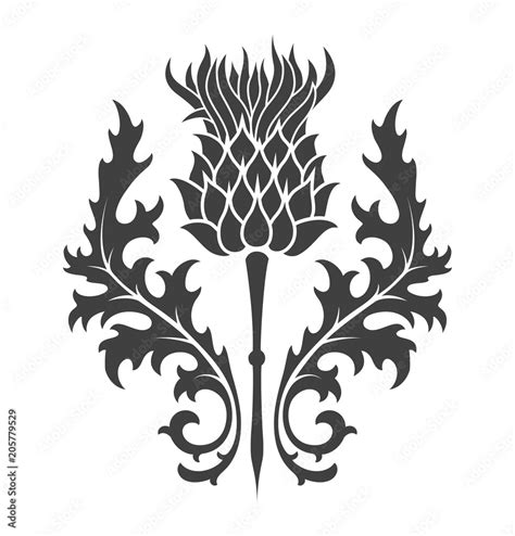 Thistle Heraldic Symbol Of Scotland Stock Vector Adobe Stock