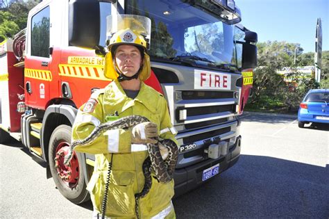 Fire Damages Local Reptile Centre Your Local Examiner
