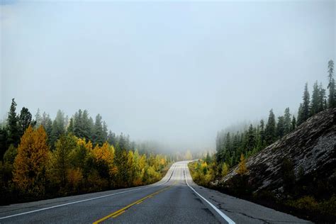 images gratuites paysage arbre forêt de plein air montagne route brouillard campagne