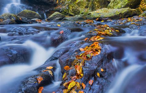 Wallpaper Stones Waterfall Autumn Leaves Images For Desktop Section
