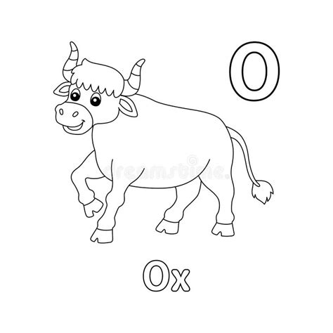 Ox Alphabet Abc Coloring Page O Stock Vector Illustration Of Color
