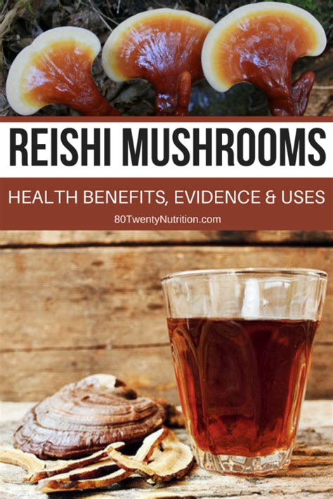 Reishi Mushrooms Health Benefits Evidence And Uses