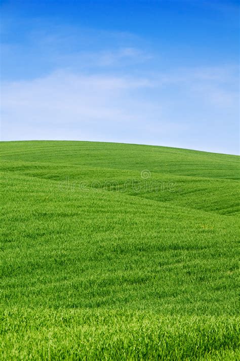 Green Hills And Blue Sky Stock Photo Image Of Meadow 5112424