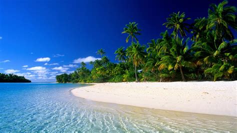 Coconut Trees Sand Beach Nature Beach Sea Landscape Hd Wallpaper