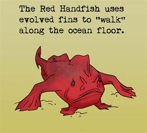 30 Weird Animal Facts They Didnt Teach You In School