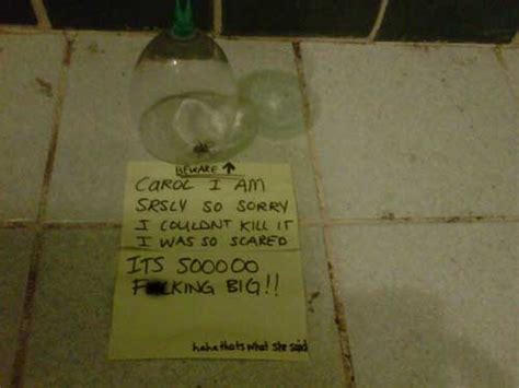 Too Much Crap Not Enough Shovels Hilarious Roommate Notes 20 Pics