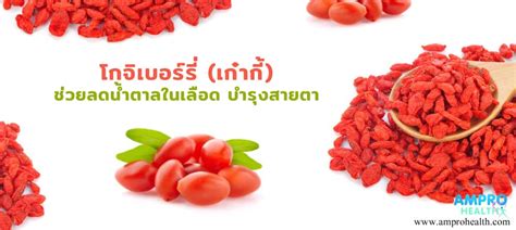 Check spelling or type a new query. โกจิเบอร์รี่ ( เก๋ากี้ ) ช่วยลดน้ำตาลในเลือด บำรุงสายตา ...