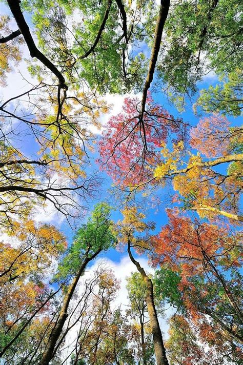 Pin By Marsha Humphreys Badgett On Glorious Fall Scenery