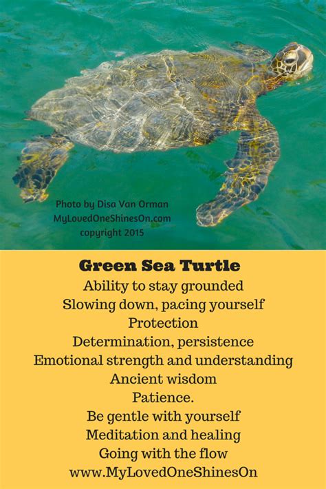 Green Sea Turtle Animal Spirit Turtle Spirit Animal Spiritual