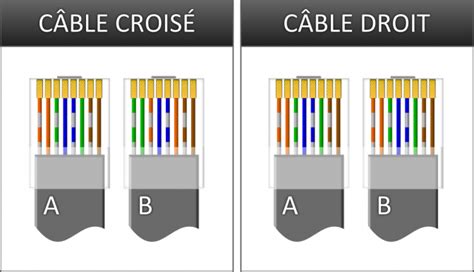 Quelle est la différence entre le câble droit et le câble croisé