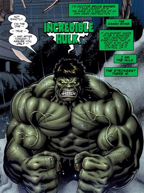 By Ed Mcguinness Hulk Comic Hulk Marvel Comic Heroes Arte Dc