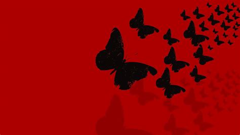 Black Butterfly Hd Wallpapers Top Free Black Butterfly Hd Backgrounds