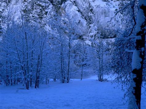 Winter Scene - Christmas Wallpaper (2735688) - Fanpop