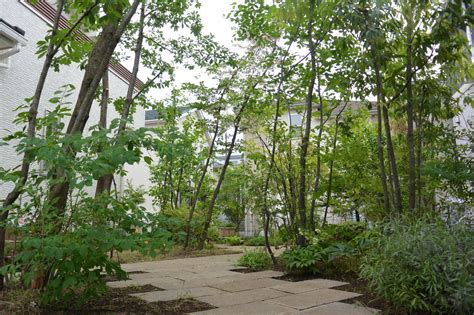 サービスのご案内 - 杉並区・武蔵野市で造園・庭づくり・植栽はナカハラガーデニング