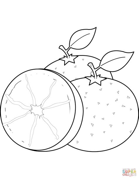 Oranges Coloring Pages Coloring Home