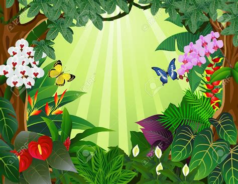 Rainforest Clipart Download Rainforest Clipart For Free 2019