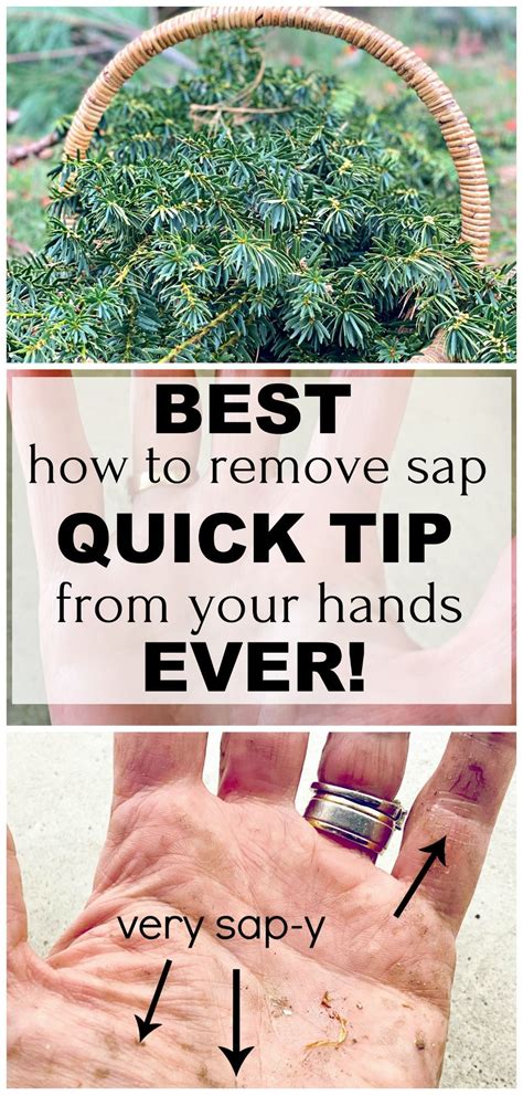 how to remove pine sap off your hands farmhouse 1820 household cleaning tips diy cleaning