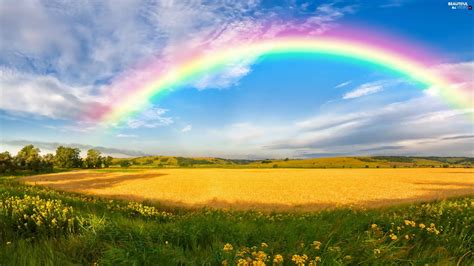 Trees Viewes Field The Hills Great Rainbows Beautiful Views