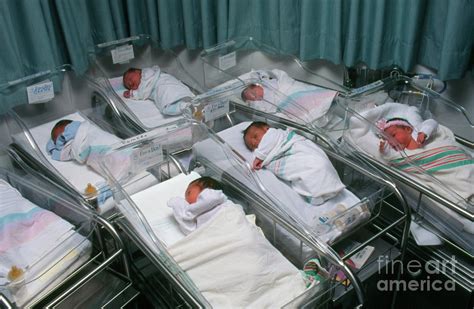 Newborn Babies In A Hospital Maternity Nursery Photograph By John Greim