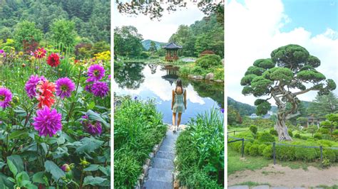 How To Visit The Garden Of Morning Calm Perfect Daytrip From Seoul