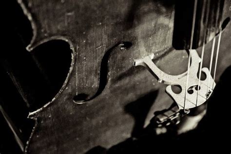 Its In The Strings Fine Art Photography Cello By Kenzphotography Art