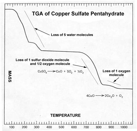 Most relevant tga graph interpretation websites. Thermogravimetry of Compounds