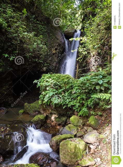 Tropical Waterfalls In Costa Rica Stock Image Image Of