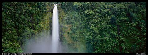 Panoramic Picturephoto Tropical Waterfall Akaka Falls State Park