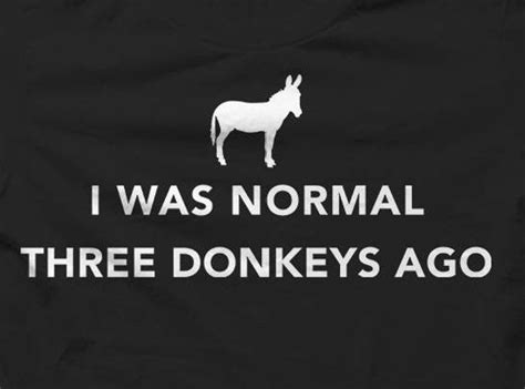 Donkey Meme Funny Horses Memes Donkey