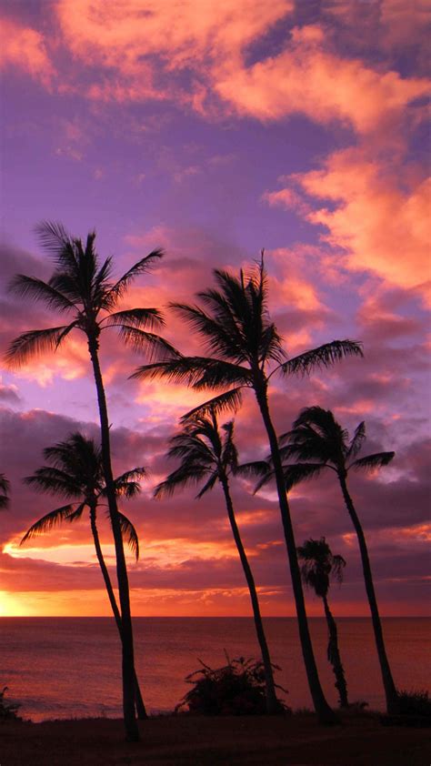 Hawaii Sunset Wallpapers Top Free Hawaii Sunset Backgrounds