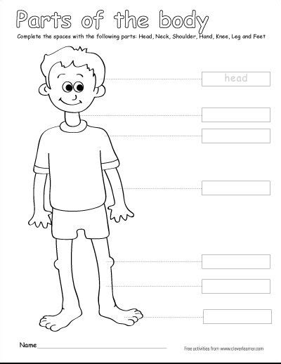Label Body Parts Worksheets