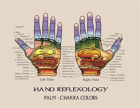 Reflexology Hand Chart Etsy Reflexology Hand Chart Hand