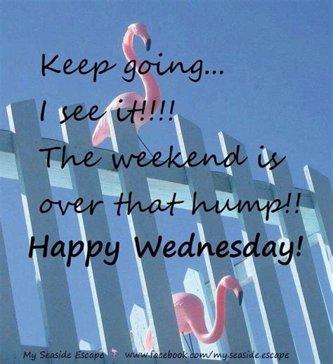 Wednesday Sayings Wednesday Memes Wednesday Greetings Its Friday