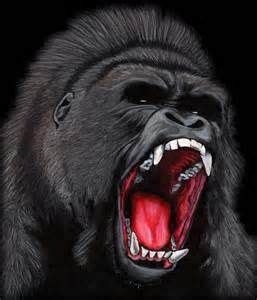 Angry Ape Face Ape man by gh0stman75 Tattoo 1 | Gorillas ... The image is png format with a clean transparent background.