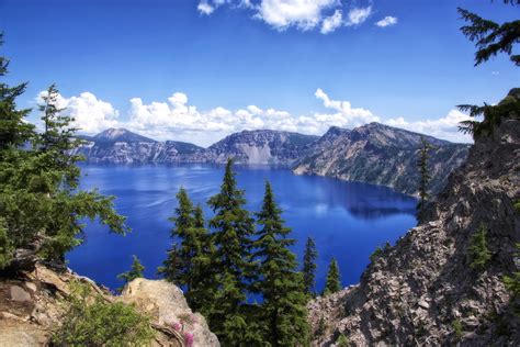 Usa Parks Scenery Mountains Lake Sky Fir Crater Lake National