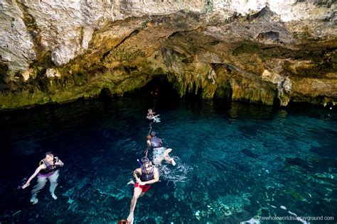 Ultimate Guide To Gran Cenote 2024 The Whole World Is A Playground