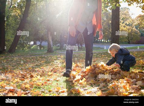 Father And Son Playing With Autumn Leaves Stock Photo Alamy