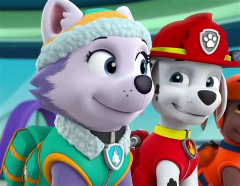 Marshall And Everest Paw Patrol Animated Couples Photo 40131003