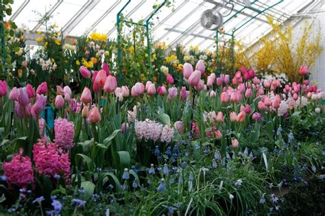 The Botanic Garden Smith College Best Winter Escape In Massachusetts