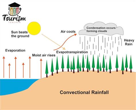 What Is Convectional Rainfall A Simple Explanation Tourism Teacher