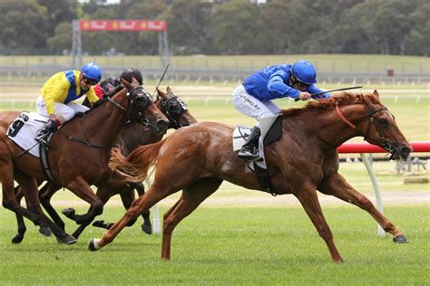 Blue Diamond Stakes Favourite Makes Return At Caulfield Sports News Australia