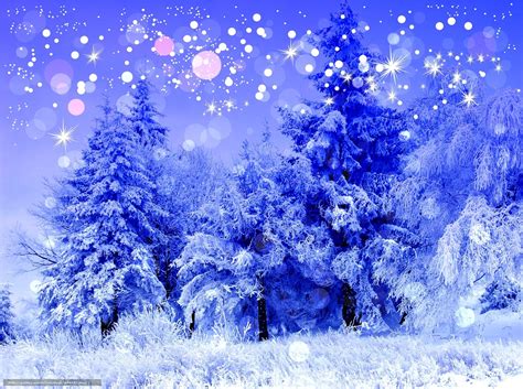 下载壁纸 冬天 树 雪 霜 免费为您的桌面分辨率的壁纸 2500x1862 — 图片 №643727