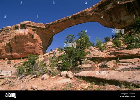 A Magnificent Stone Arch In Natural Bridges National Monument In The