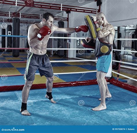 Kickbox Fighters Training In The Ring Stock Photo Image Of Motion